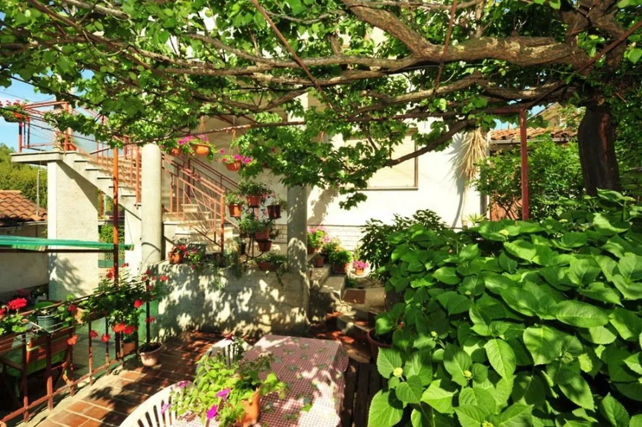Apartment Patricia Rovinj
